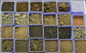 Types of soils 