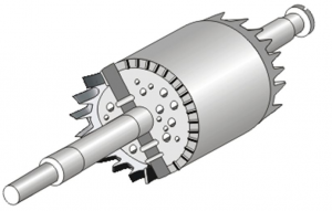 Squirrel cage rotor 