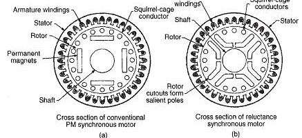 Double cage induction motor