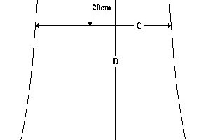 Skirt Measurement