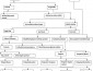 Classification of textile fiber chart