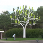 Wind-tree-view