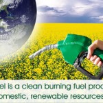 Biodiesel