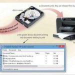 What are the functions of operating systems?