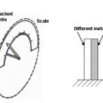 Bimetallic thermometer