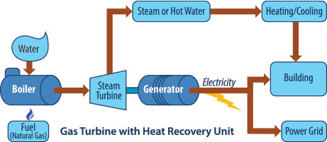 What is cogeneration system? - Polytechnic Hub