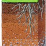 What is meant by bearing capacity soil