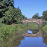 What is the role of canals?