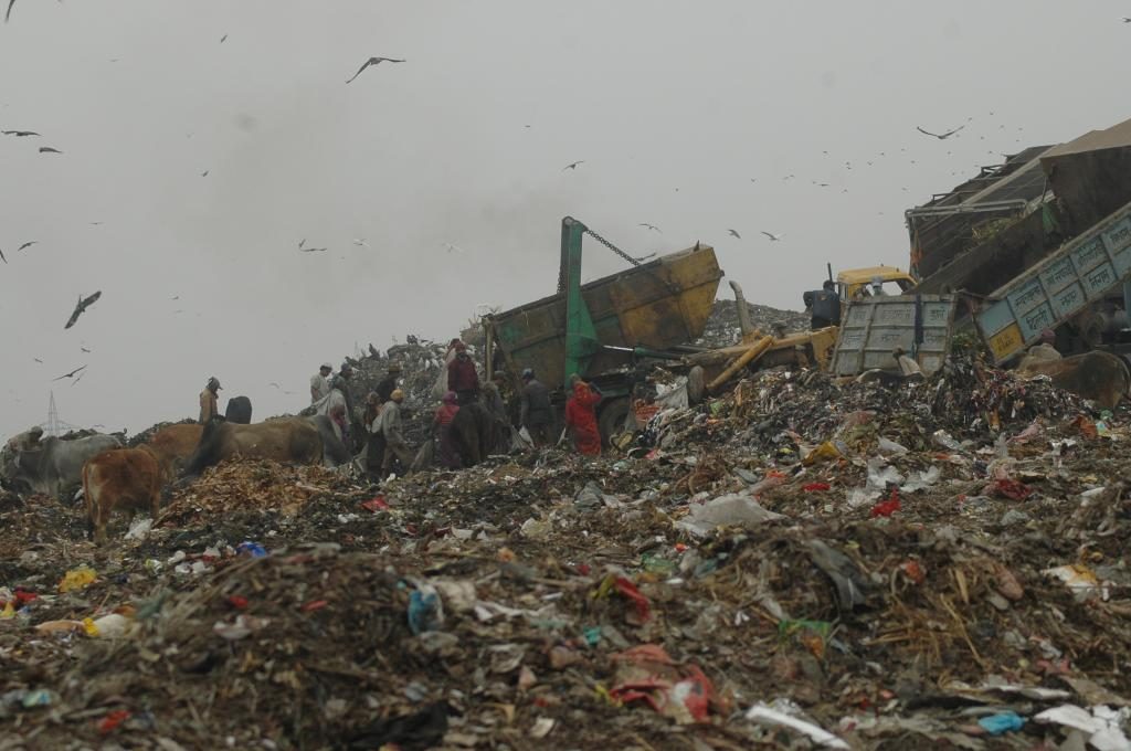 What is solids waste